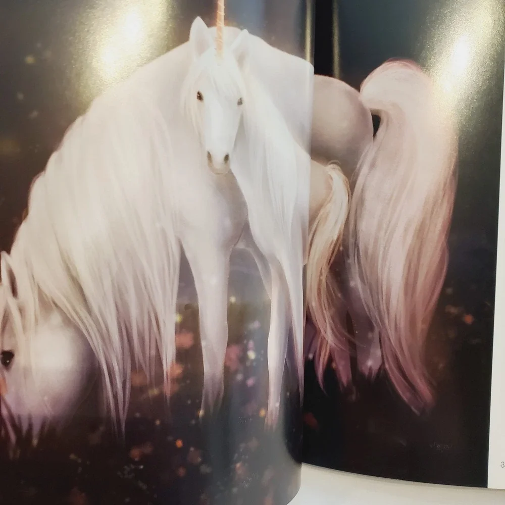 Set of 2 The Magical History of Mermaids and Unicorns By Russ Thorne Foreword